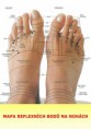 /album/fotogaleria-masaze-nesvija/reflexologie-a-akupresura-02-jpg/